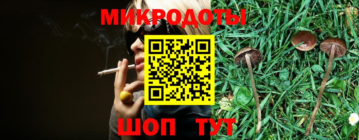Псилоцибиновые грибы Cubensis Ессентуки
